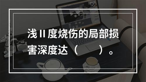 浅Ⅱ度烧伤的局部损害深度达（　　）。