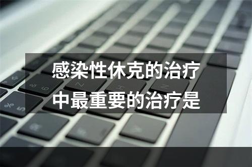 感染性休克的治疗中最重要的治疗是