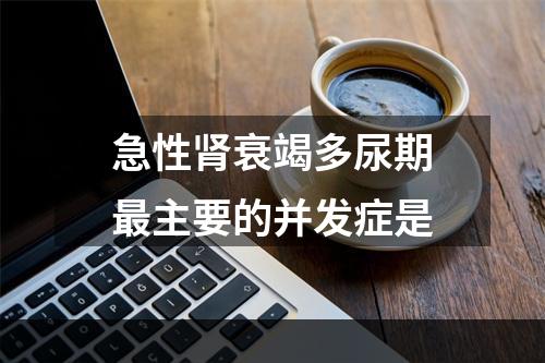 急性肾衰竭多尿期最主要的并发症是