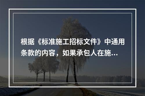 根据《标准施工招标文件》中通用条款的内容，如果承包人在施工过