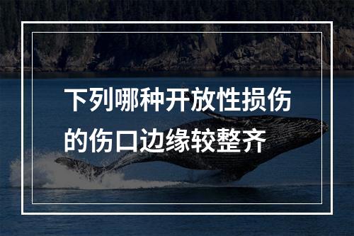 下列哪种开放性损伤的伤口边缘较整齐