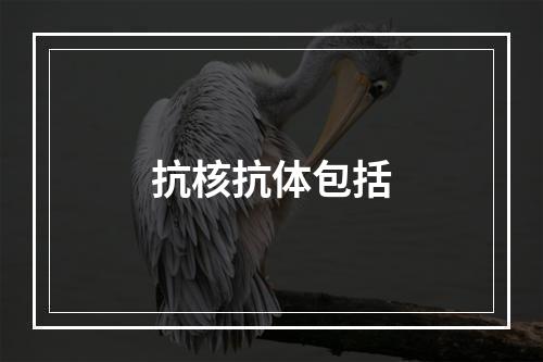 抗核抗体包括