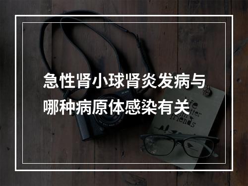 急性肾小球肾炎发病与哪种病原体感染有关