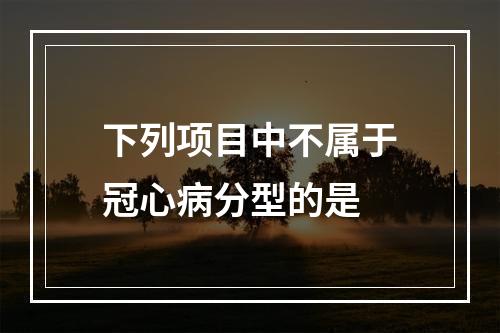 下列项目中不属于冠心病分型的是