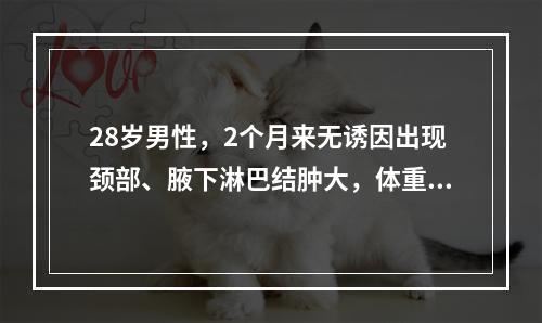 28岁男性，2个月来无诱因出现颈部、腋下淋巴结肿大，体重明显