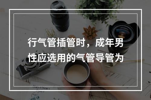 行气管插管时，成年男性应选用的气管导管为