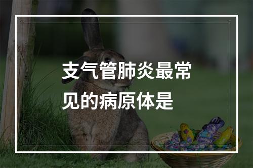 支气管肺炎最常见的病原体是