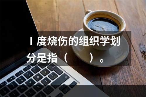 Ⅰ度烧伤的组织学划分是指（　　）。