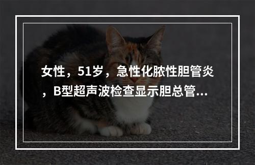 女性，51岁，急性化脓性胆管炎，B型超声波检查显示胆总管扩张