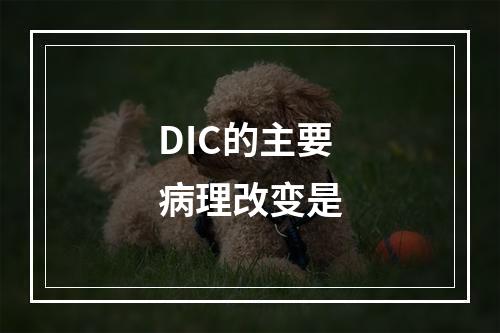 DIC的主要病理改变是