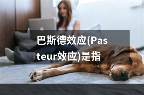 巴斯德效应(Pasteur效应)是指