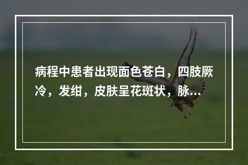 病程中患者出现面色苍白，四肢厥冷，发绀，皮肤呈花斑状，脉搏细