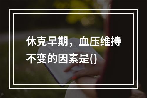 休克早期，血压维持不变的因素是()