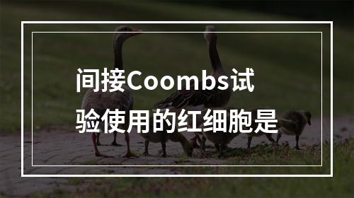 间接Coombs试验使用的红细胞是