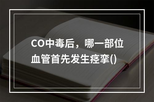 CO中毒后，哪一部位血管首先发生痉挛()