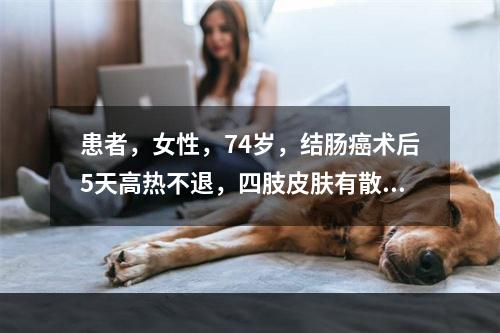 患者，女性，74岁，结肠癌术后5天高热不退，四肢皮肤有散在淤