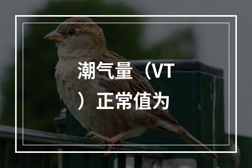 潮气量（VT）正常值为