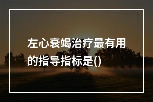 左心衰竭治疗最有用的指导指标是()