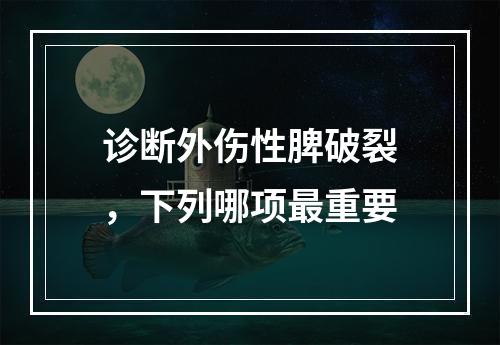 诊断外伤性脾破裂，下列哪项最重要