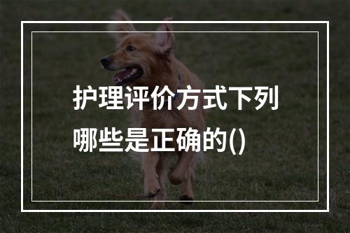 护理评价方式下列哪些是正确的()