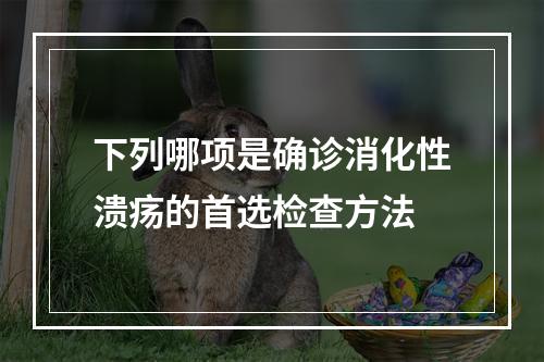 下列哪项是确诊消化性溃疡的首选检查方法