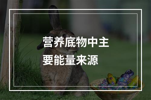 营养底物中主要能量来源