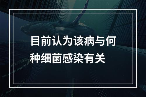 目前认为该病与何种细菌感染有关