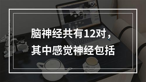 脑神经共有12对，其中感觉神经包括