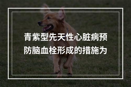 青紫型先天性心脏病预防脑血栓形成的措施为