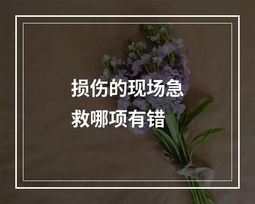 损伤的现场急救哪项有错