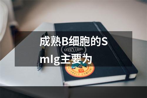 成熟B细胞的SmIg主要为