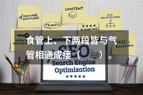 食管上、下两段皆与气管相通成瘘（　　）。