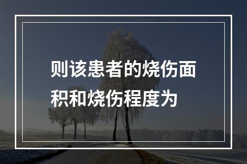 则该患者的烧伤面积和烧伤程度为