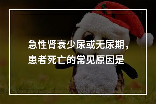 急性肾衰少尿或无尿期，患者死亡的常见原因是