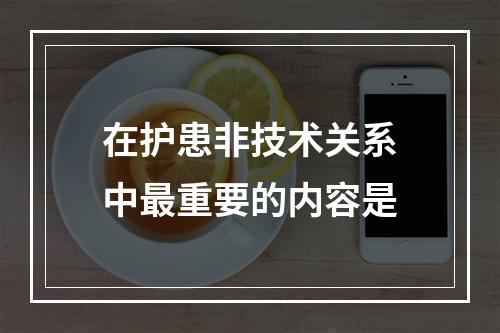 在护患非技术关系中最重要的内容是