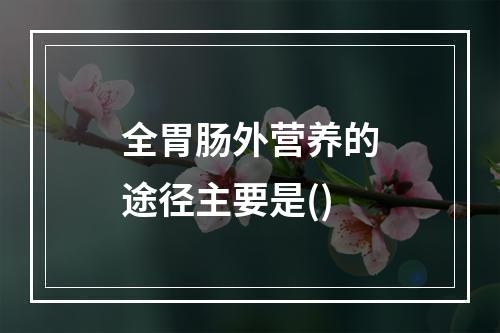 全胃肠外营养的途径主要是()