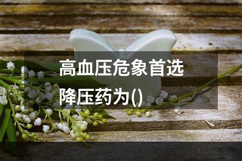 高血压危象首选降压药为()