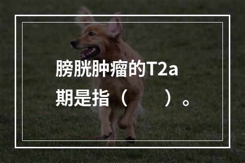 膀胱肿瘤的T2a期是指（　　）。