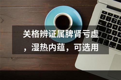 关格辨证属脾肾亏虚，湿热内蕴，可选用