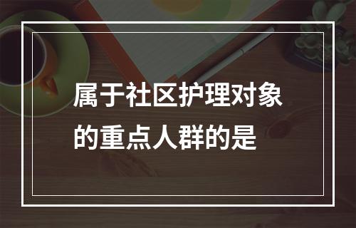 属于社区护理对象的重点人群的是