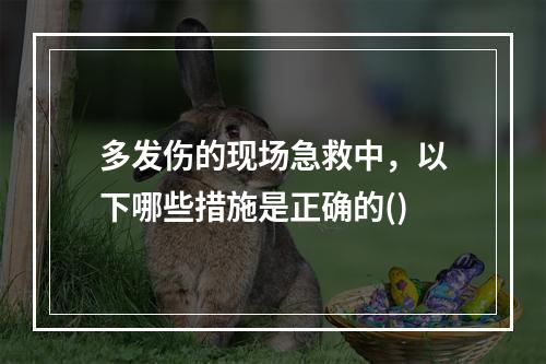 多发伤的现场急救中，以下哪些措施是正确的()