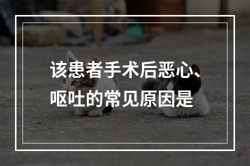 该患者手术后恶心、呕吐的常见原因是