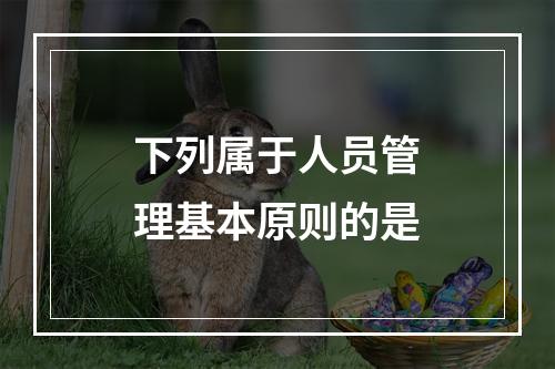 下列属于人员管理基本原则的是