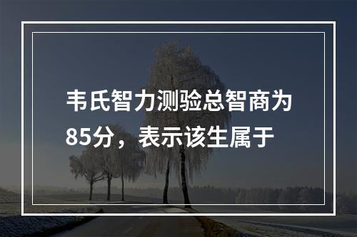 韦氏智力测验总智商为85分，表示该生属于