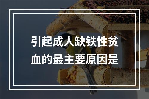 引起成人缺铁性贫血的最主要原因是