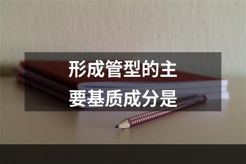 形成管型的主要基质成分是