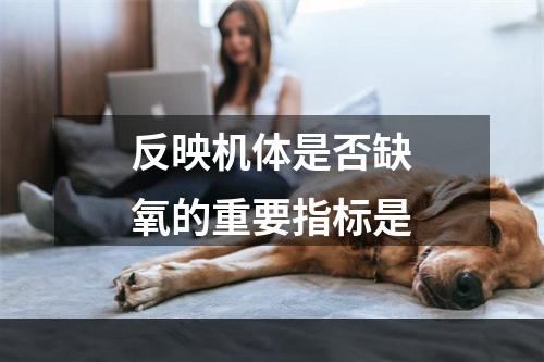 反映机体是否缺氧的重要指标是