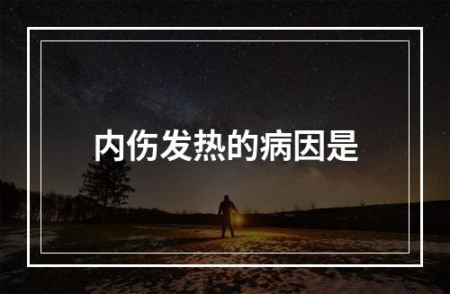 内伤发热的病因是