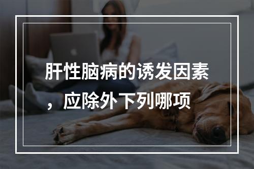 肝性脑病的诱发因素，应除外下列哪项