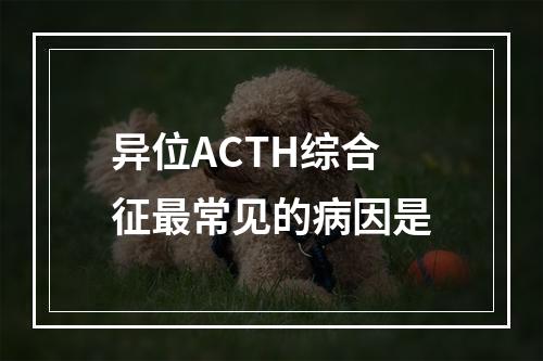 异位ACTH综合征最常见的病因是